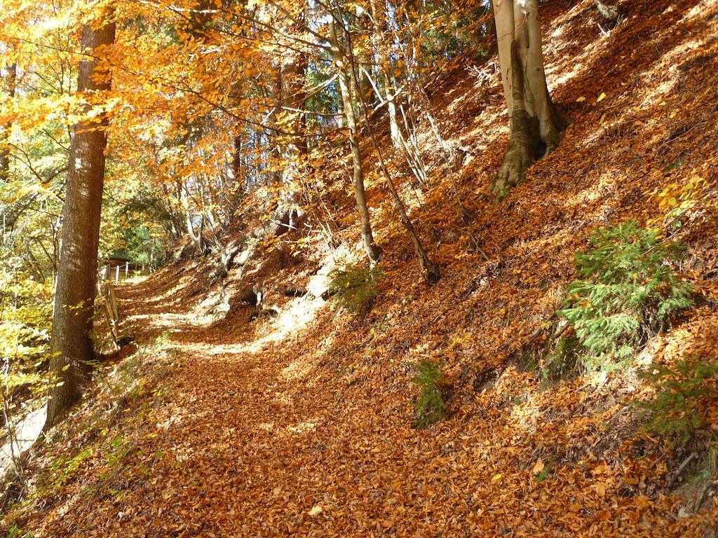 Appartamento Haus Sonnegg Fieberbrunn Esterno foto