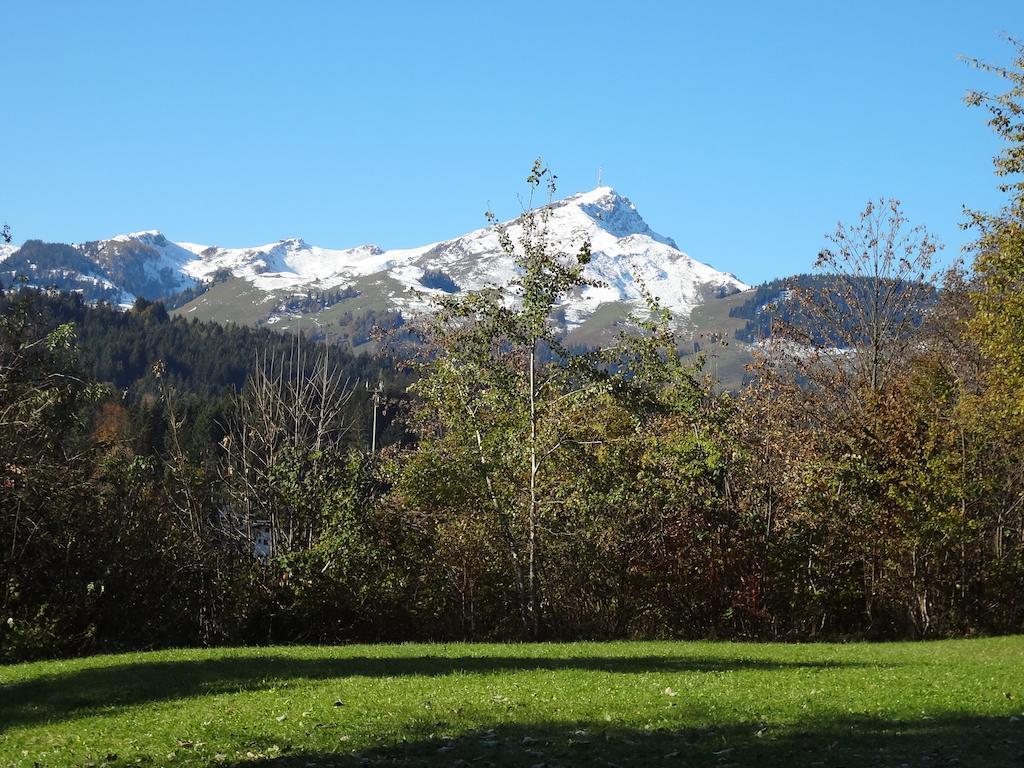 Appartamento Haus Sonnegg Fieberbrunn Esterno foto